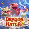 Dragon Hatch 2