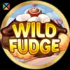 Wild Fudge