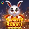 Fortune Rabbit Lock 2 Spin