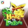 Hare vs Tortoise