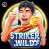 Striker WILD