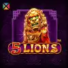 5 Lions